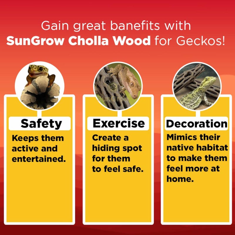SunGrow Leopard Gecko Cholla Wood, 5 Inches Long, Create Basking Spot, Artistic Home-Decor, Lizards and Bearded Dragons, 6-Pack - Image 3